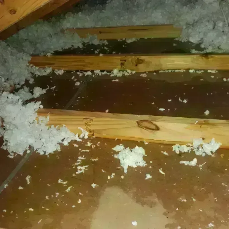 Attic Water Damage in Indian Hills, TX